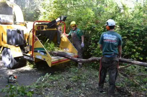 tree services St. Charles